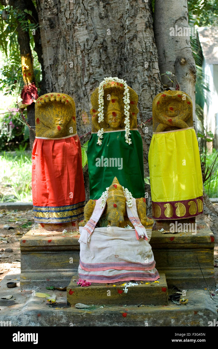 Deities at Thiruvannamalai temple ; Tamil Nadu ; India Stock Photo