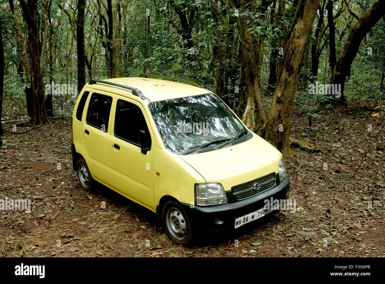 Car Waganor yellow color Maruti suzuki model 800cc at Matheran ; Maharashtra ; India Stock Photo
