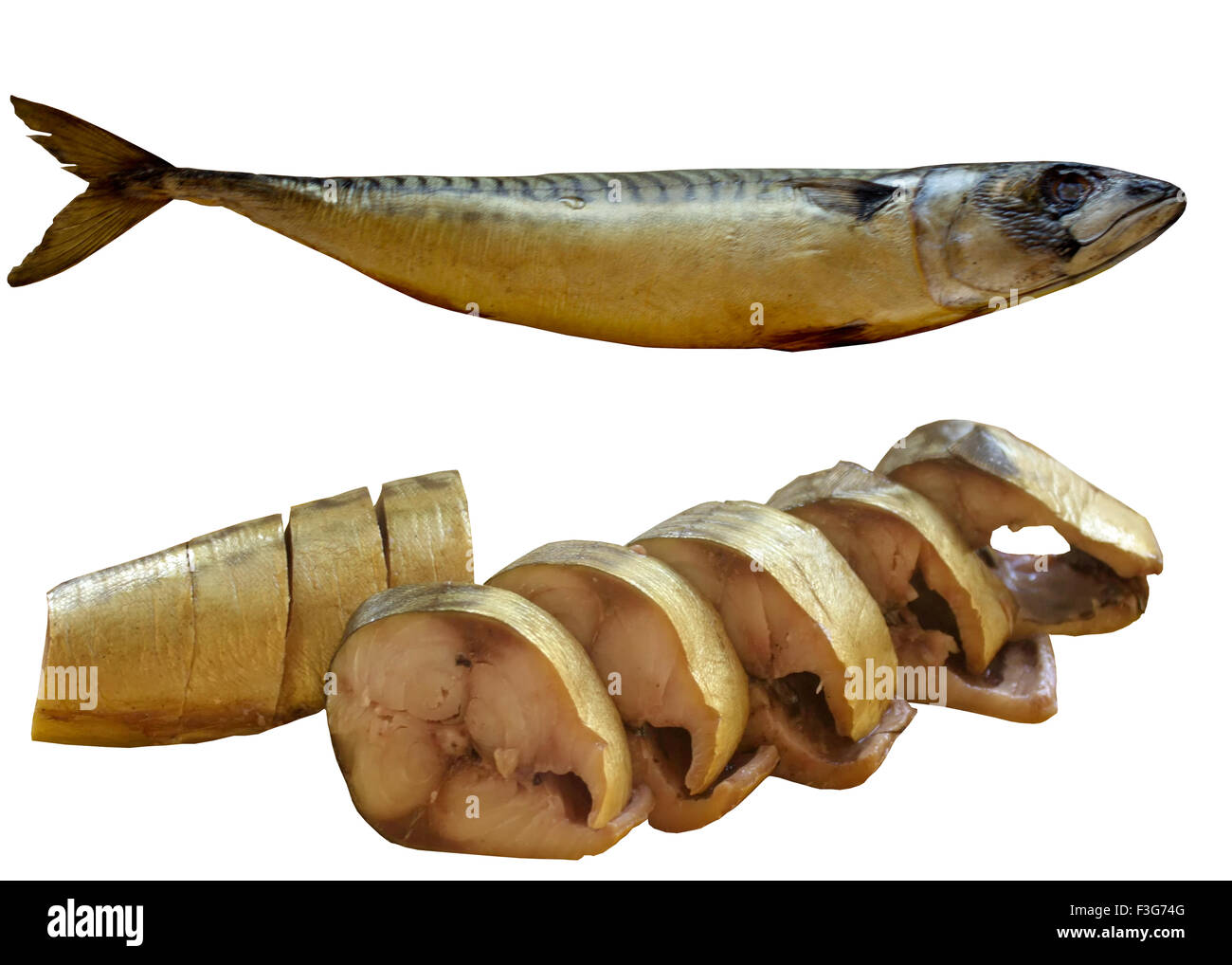 Hardhead,  to Prepare, it is Isolated, Meal, Filet, Usefully, Part,  Pisces, is Lighted. Stock Photo