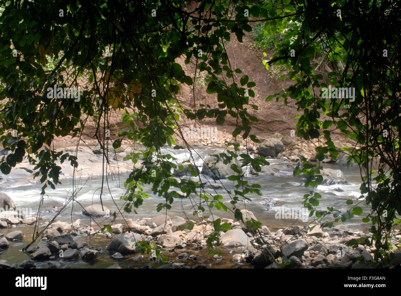Dahisar river hires stock photography and images Alamy