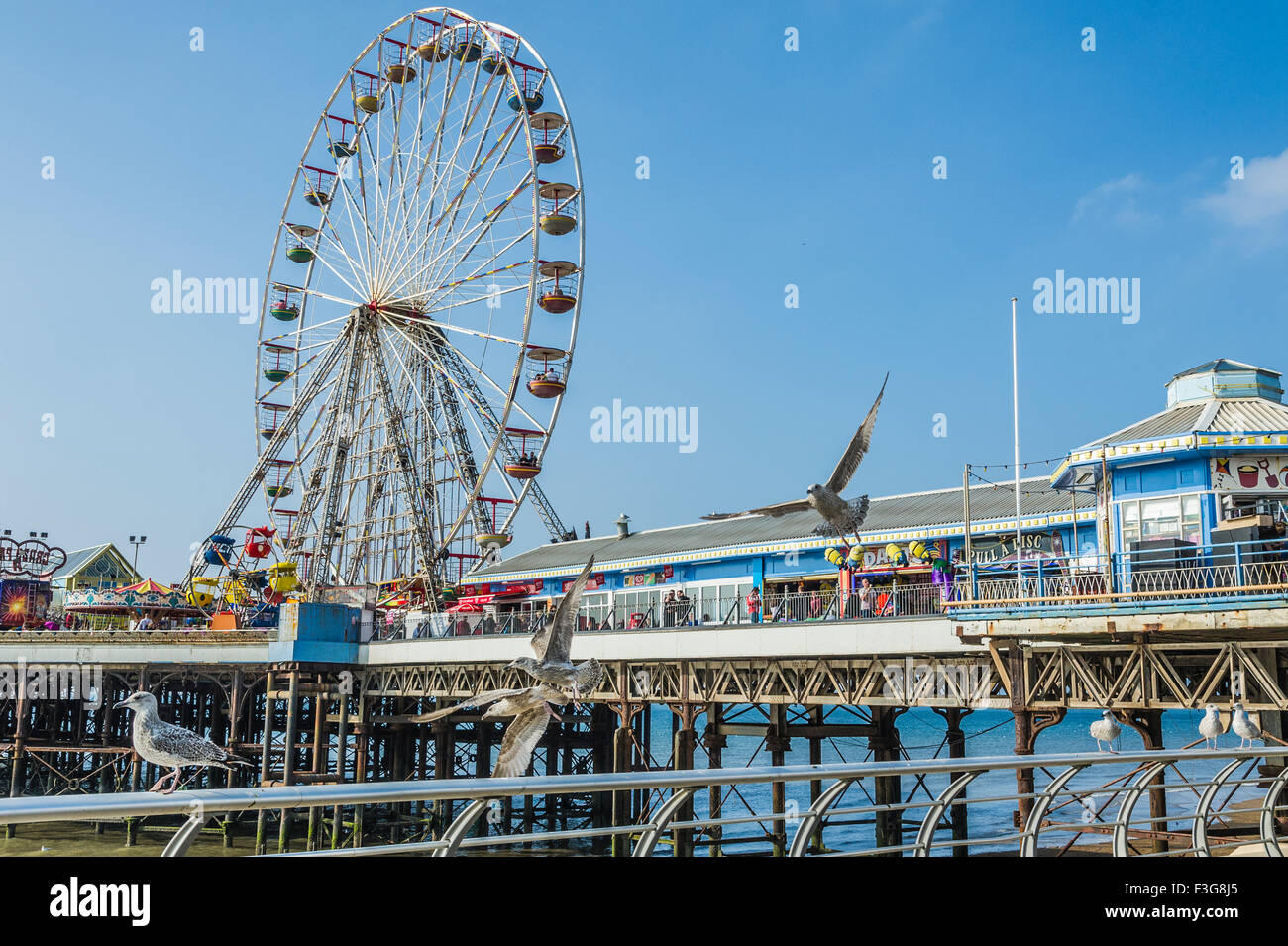 Blackpool Central Pier and Big Wheel Stock Photo Alamy