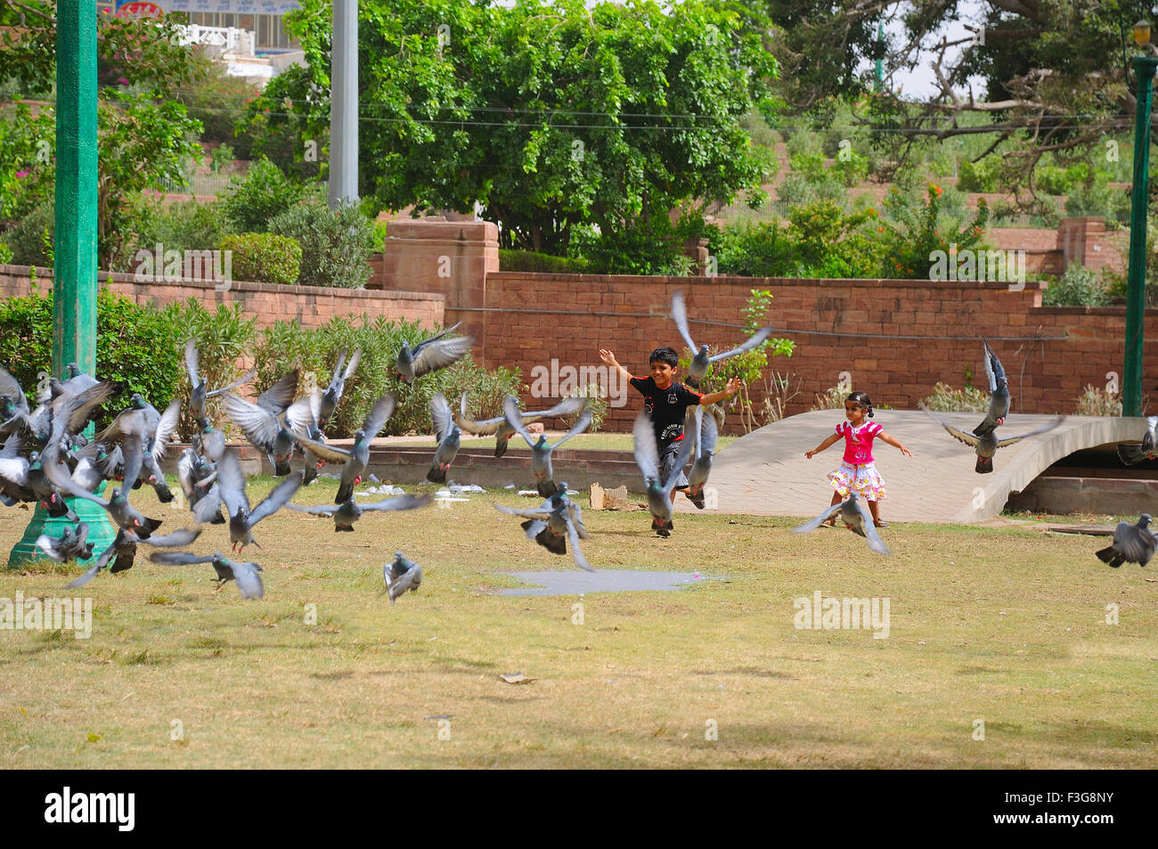 Children running behind pigeons ; Mandore ; Jodhpur ; Rajasthan ; India Stock Photo