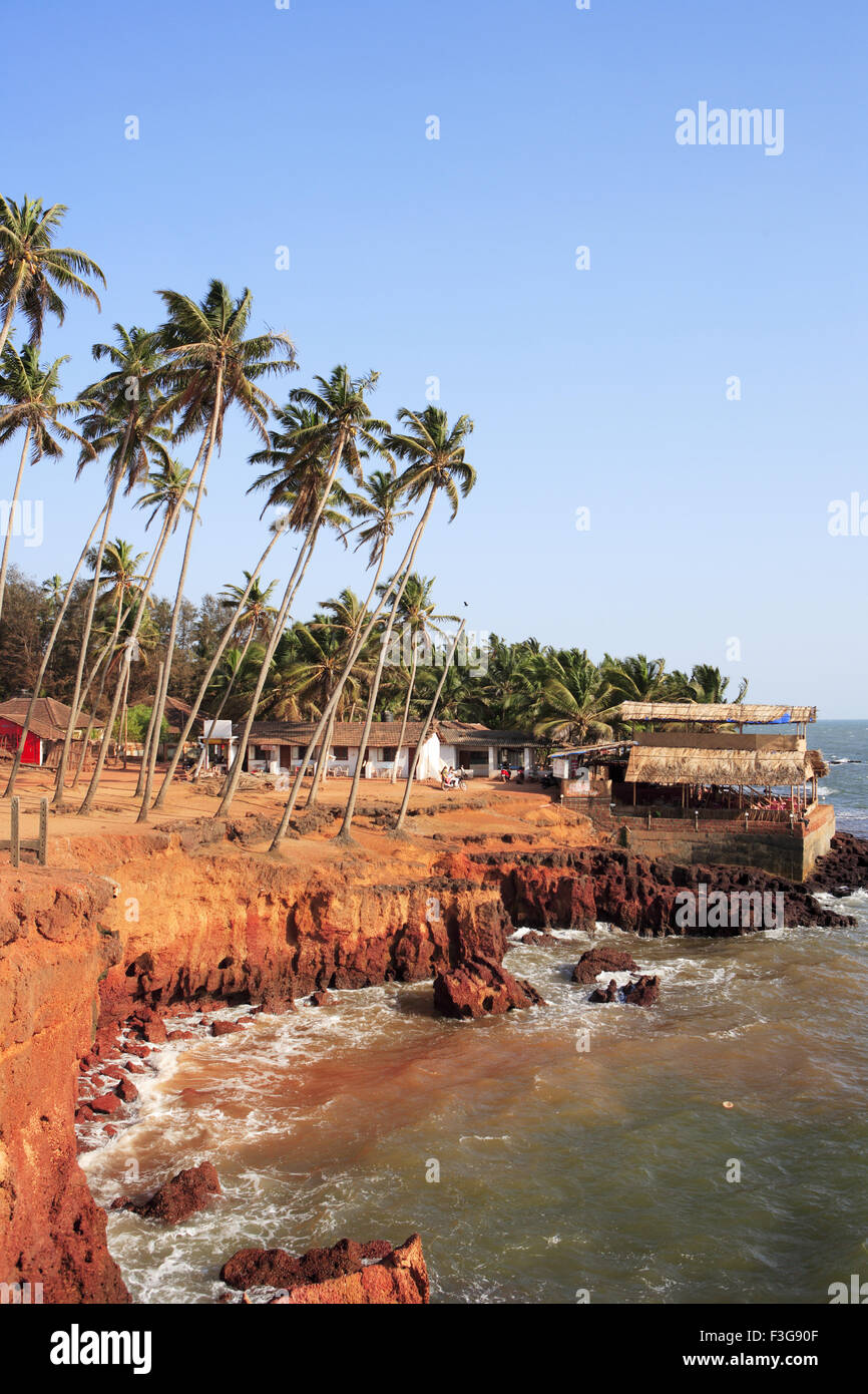 Anjuna beach ; palm trees ; Goa ; India ; Asia Stock Photo