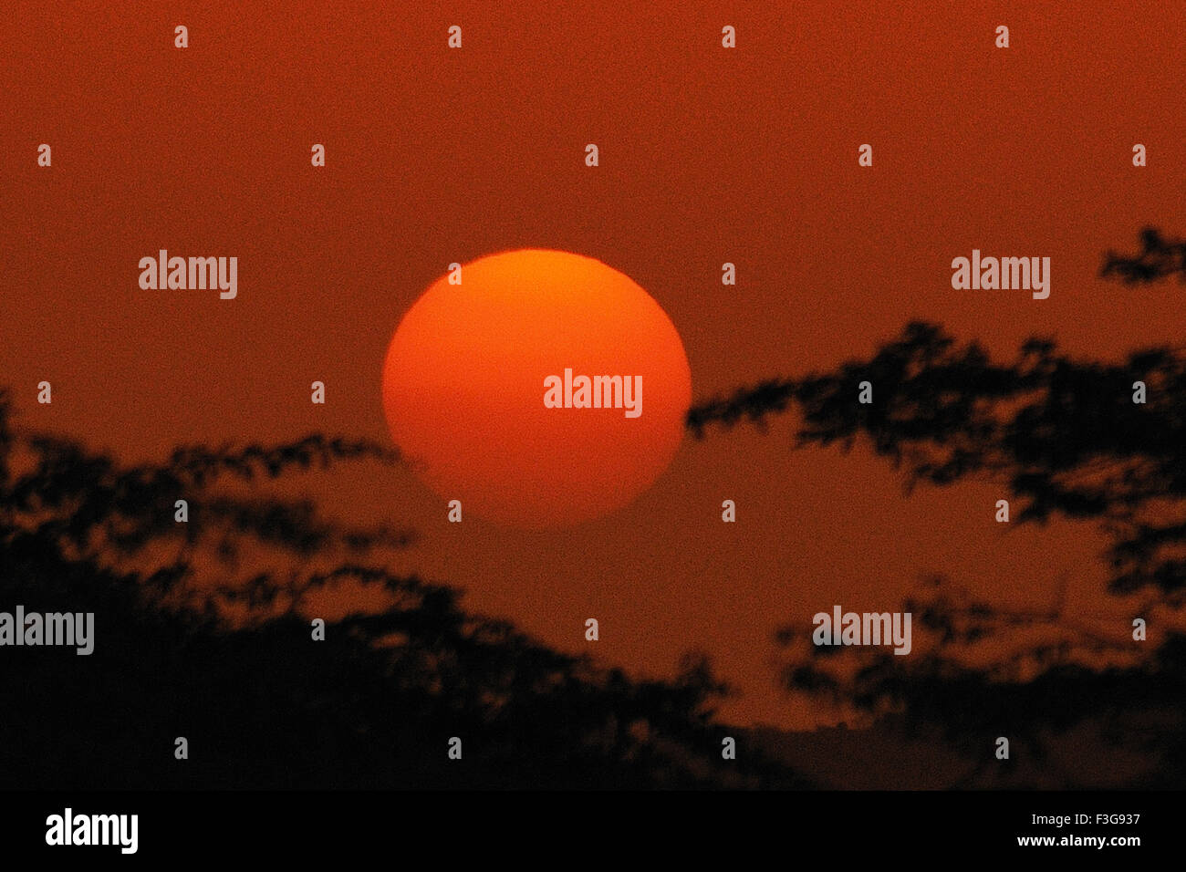 Sunset ; Jodhpur ; Rajasthan ; India Stock Photo - Alamy