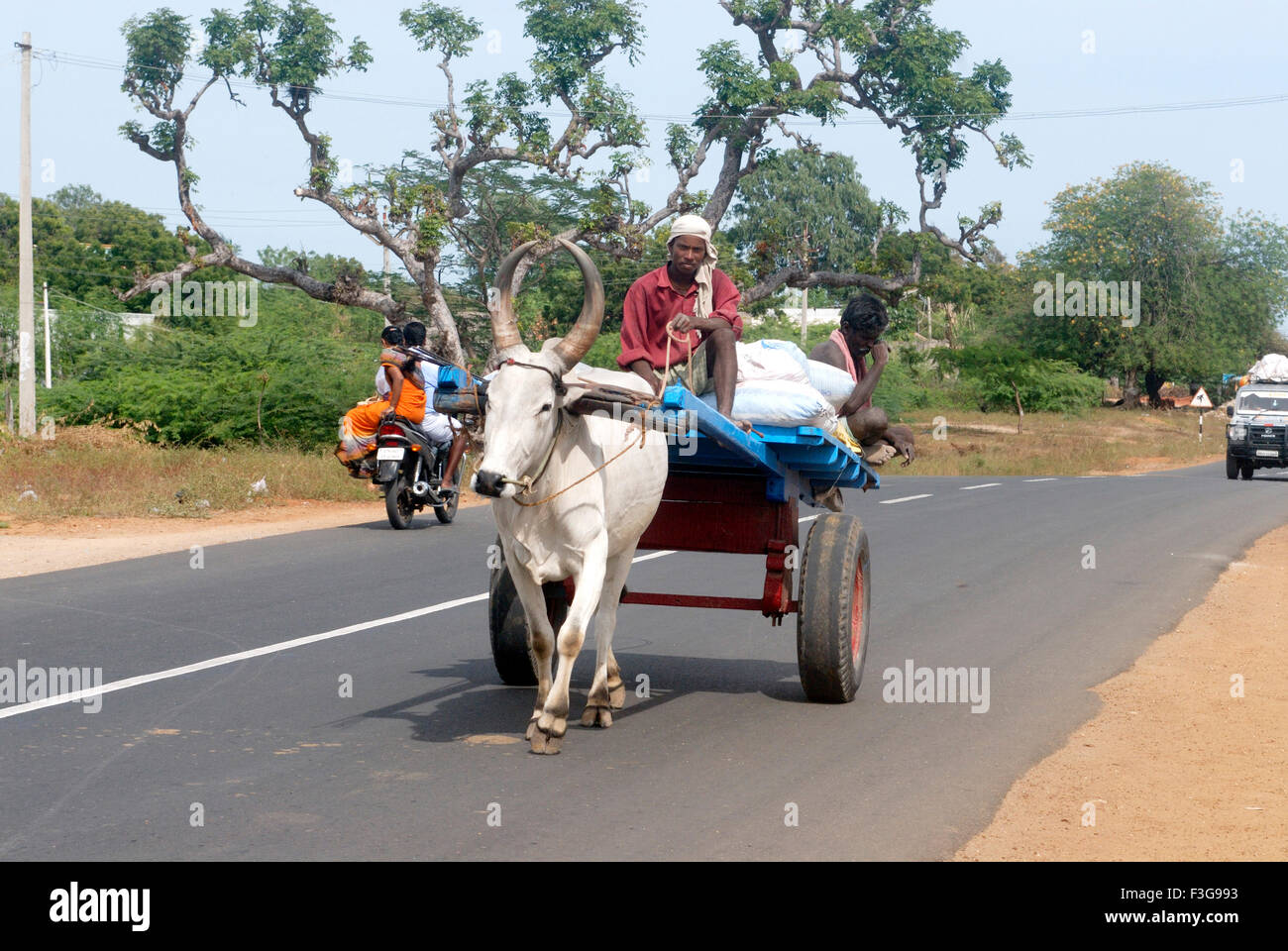 Man driving loaded bullock cart on national highway number 49 at Rameswaram ; Char Dham ; Tamil Nadu ; India Stock Photo