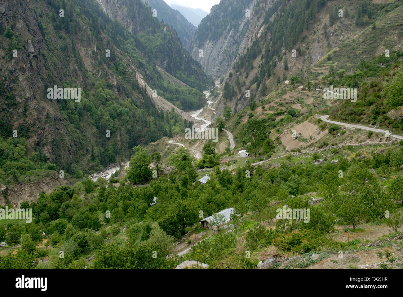 Himalayan Path on river Bhagirathi ; Uttaranchal ; India Stock Photo