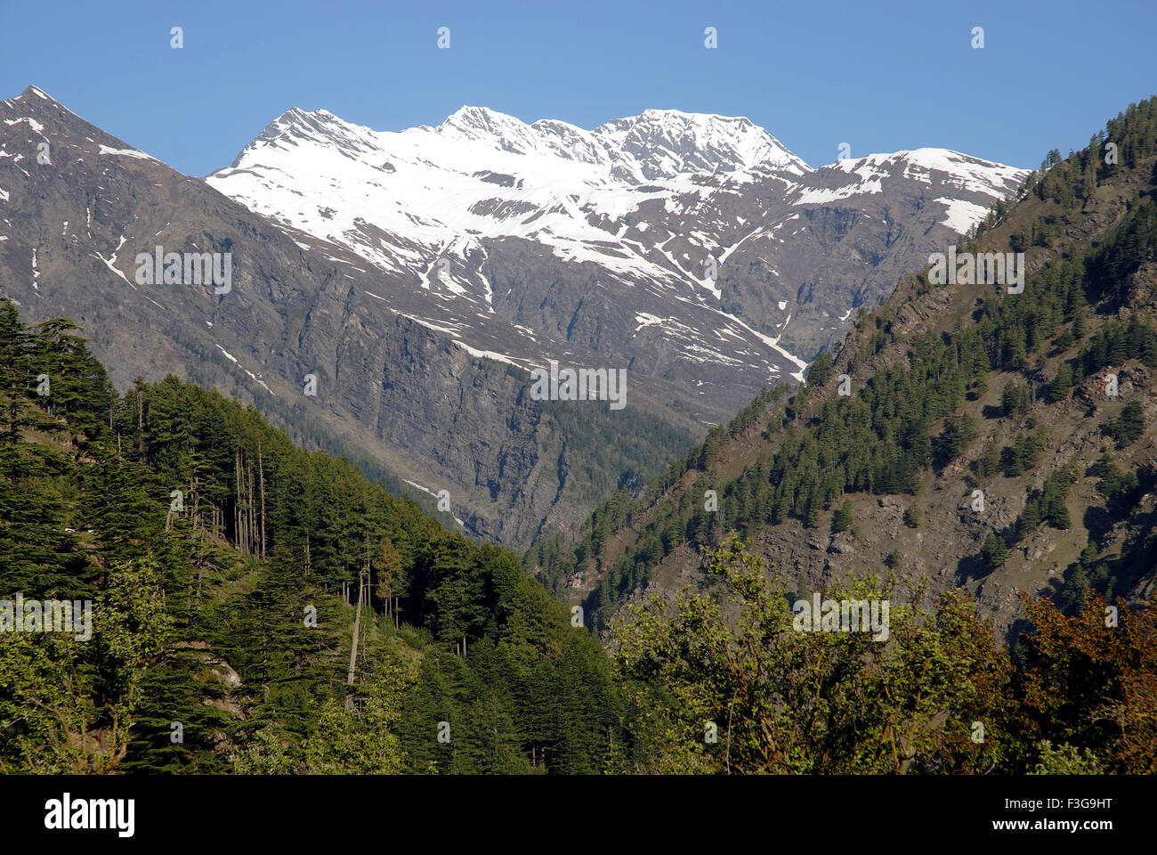 Himalayan Peaks at Harsil on the way to Gangotri ; Uttaranchal ; India