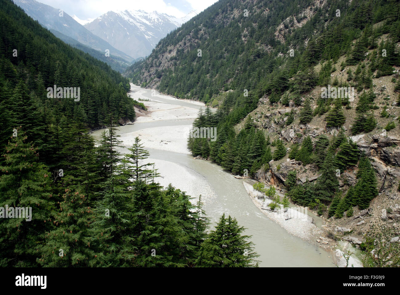 River Bhagirathi on the way to Gangotri ; Uttaranchal ; India Stock