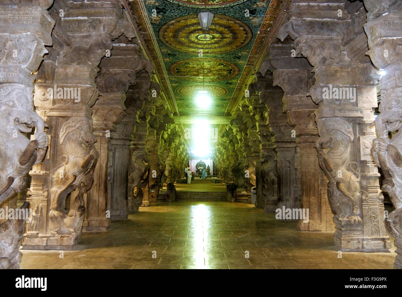 Richly stone carved pillars museum thousand Pillared hall Shree ...