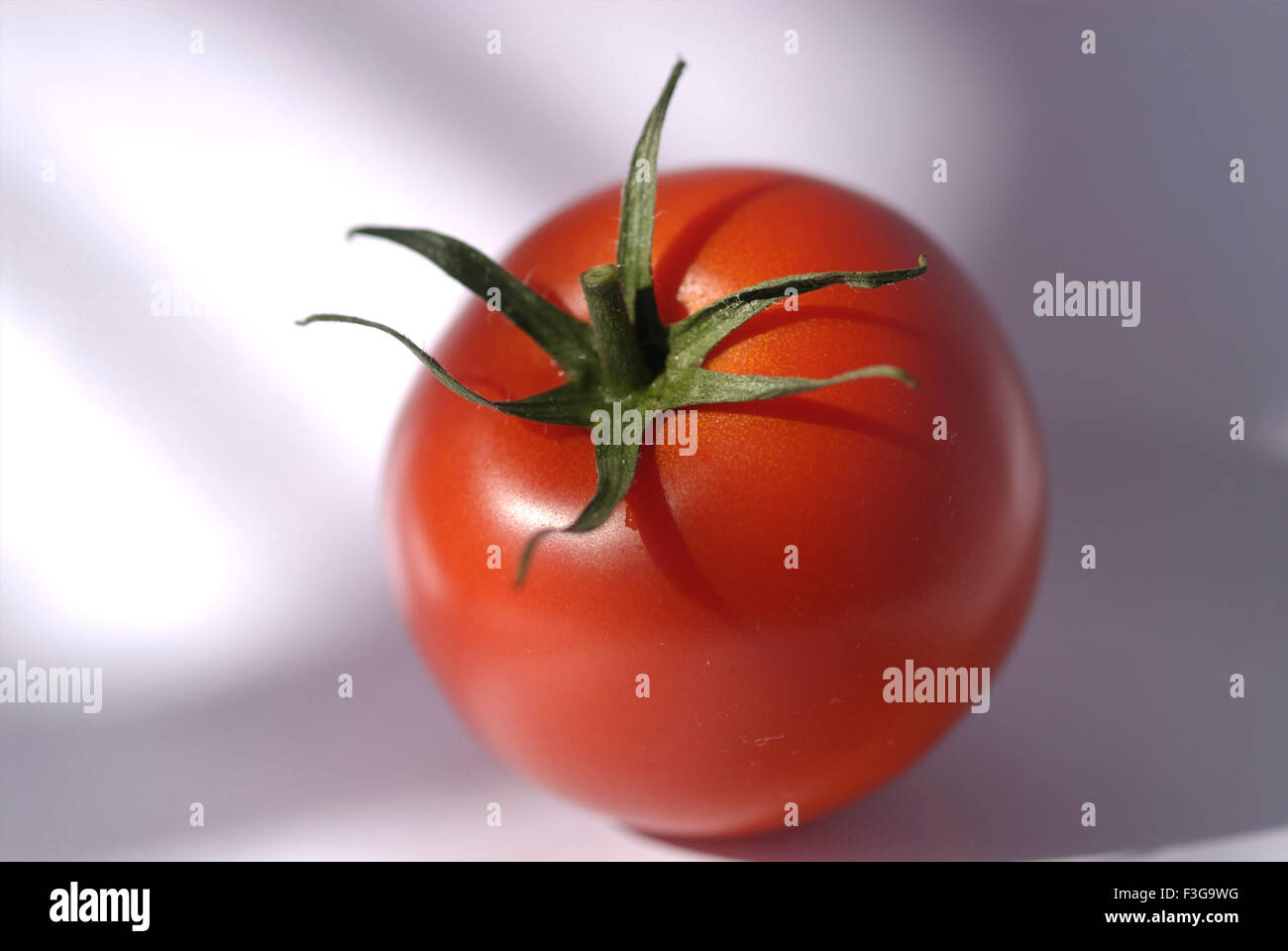 Tomato on white background ; London ; U.K. United Kingdom England Stock Photo