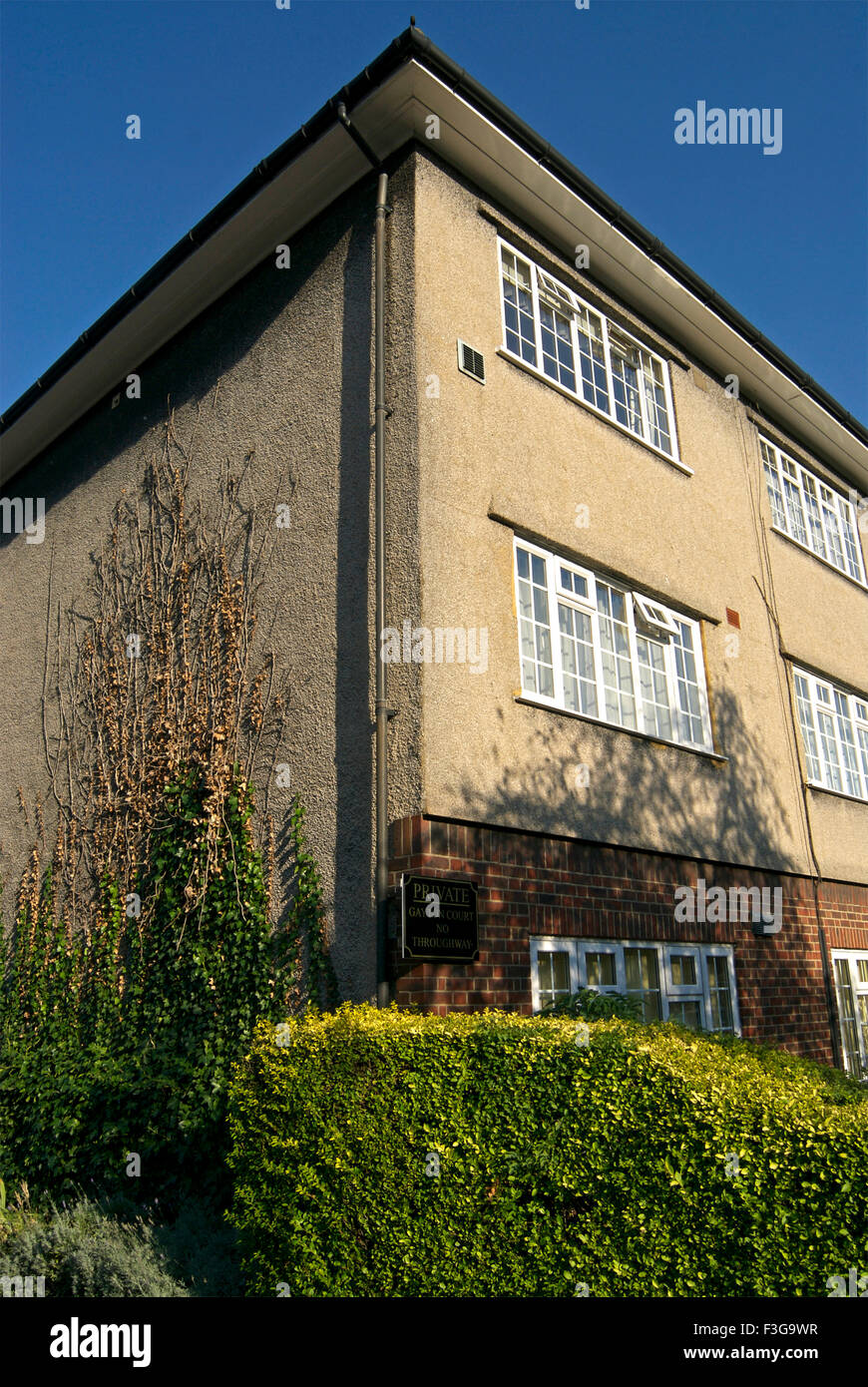Creepers ; London ; England ; United Kingdom ; UK Stock Photo Alamy