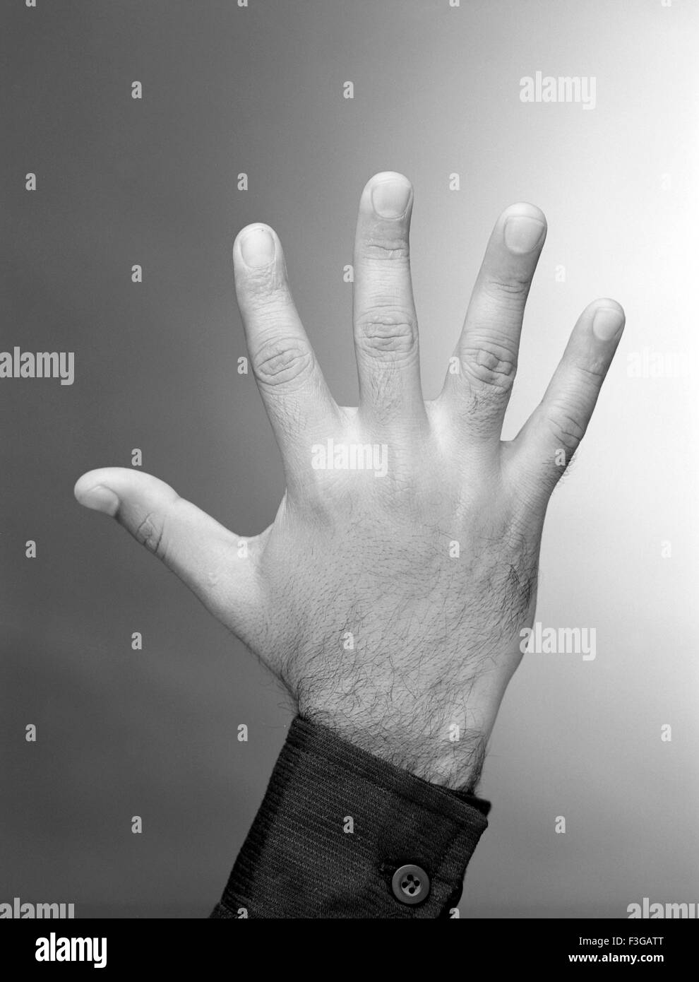 Hand back showing five fingers hi-res stock photography and images