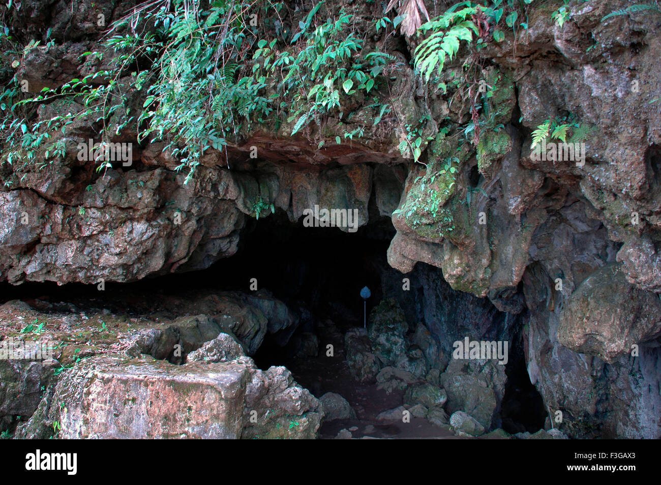 Treasure Trail continues in Monster's Lair at Mawsmai caves, Meghalaya -  Thrilling Travel