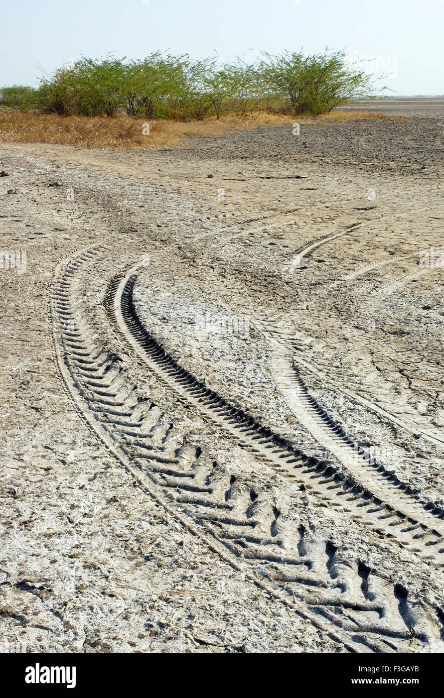 Tire tracks ; tyre marks ; Kharaghoda ; Surendranagar ; Gujarat ; India ; Asia ; Asian ; Indian Stock Photo
