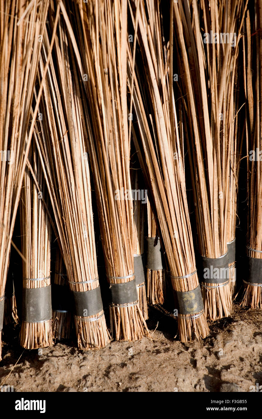 Brooms for sale ; Udaipur ; Rajasthan ; India ; Asia Stock Photo Alamy