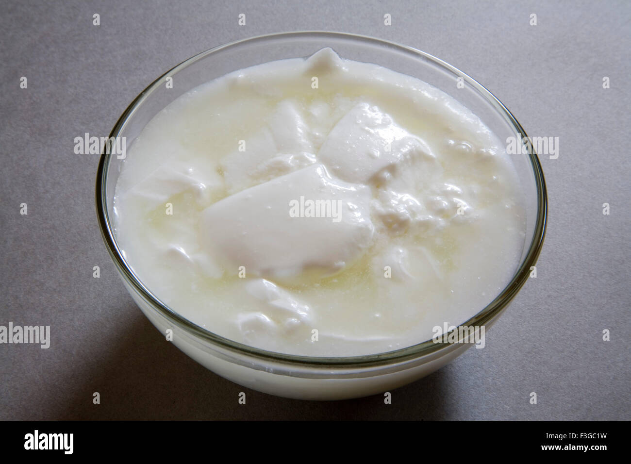 Curd yogurt dahi made from milk home or dairy product served in bowls