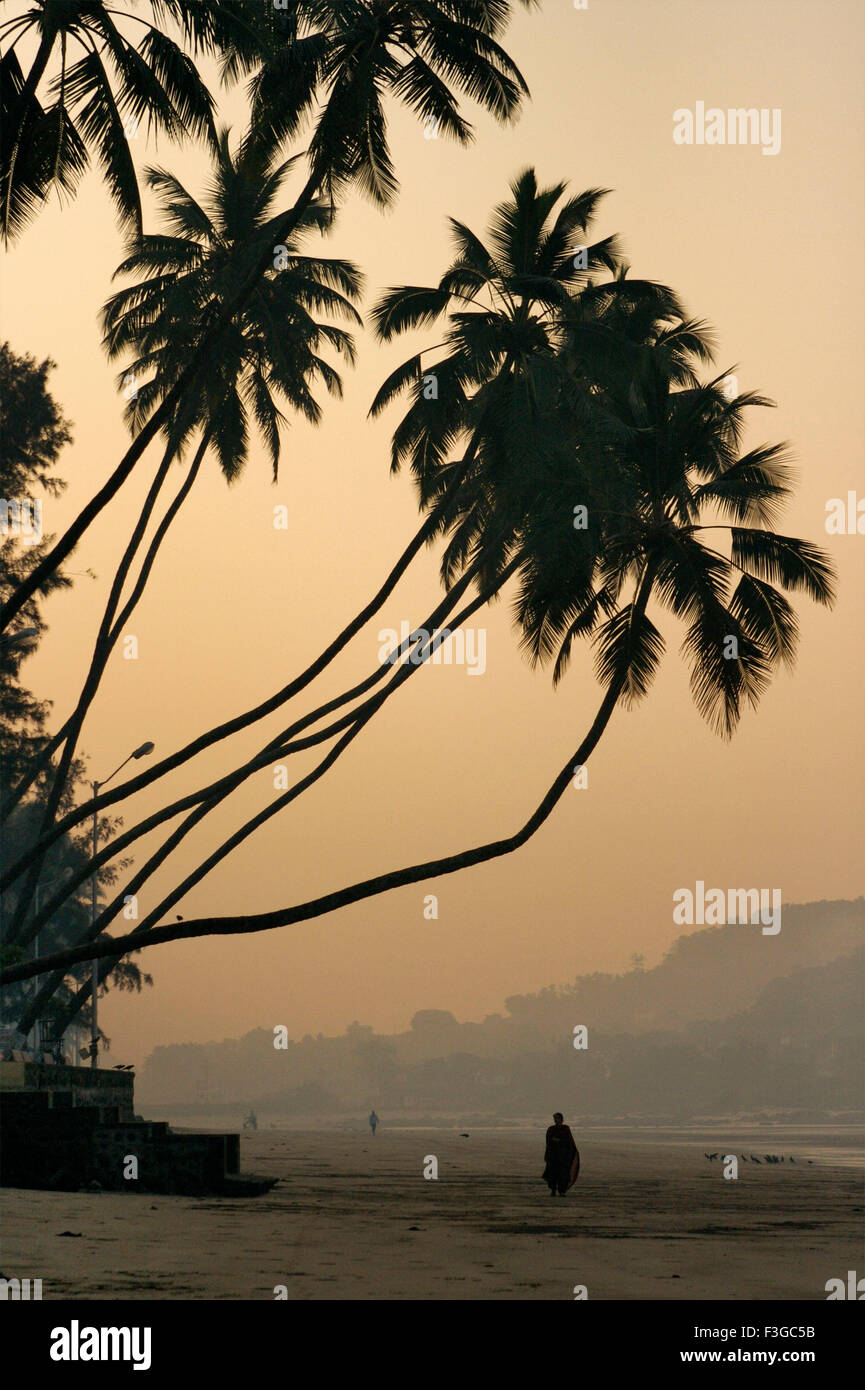 Silhouette of lady walking alone under coconut trees at Murud Janjira coast ; District Raigad ; Maharashtra ; India Stock Photo