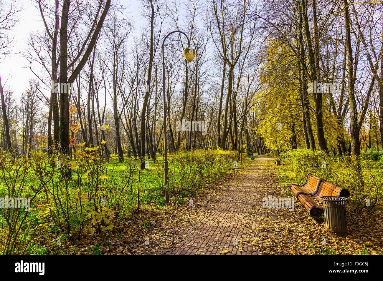 Autumn Scenery of Park Alley with Bushes and Trees on Green Grass ...