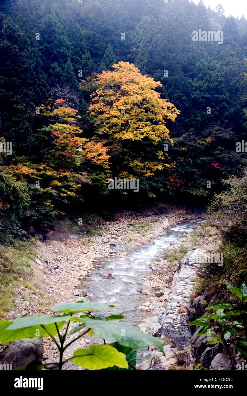 Water flowing in the stream hi-res stock photography and images - Alamy