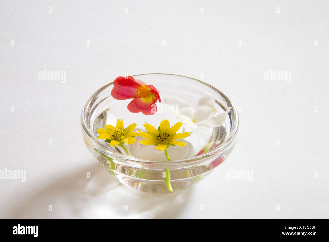 Rose In Glass Water High Resolution Stock Photography And Images Alamy