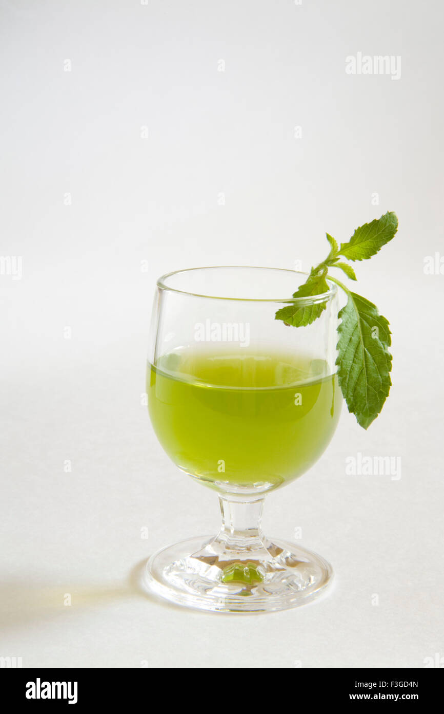 Holy Basil plant Tulsi leaves and glass of juice Ocimum sanctum