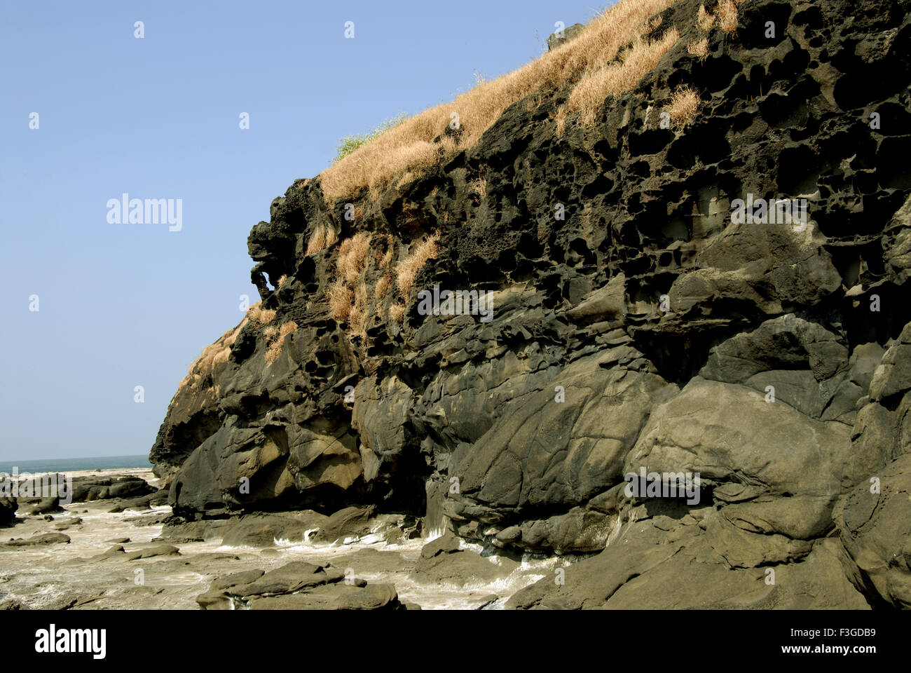 Rock etched like pigeon holes by sea water at Harihareshwar near Srivardhan ; Dist Raigad ; Maharashtra ; India Stock Photo
