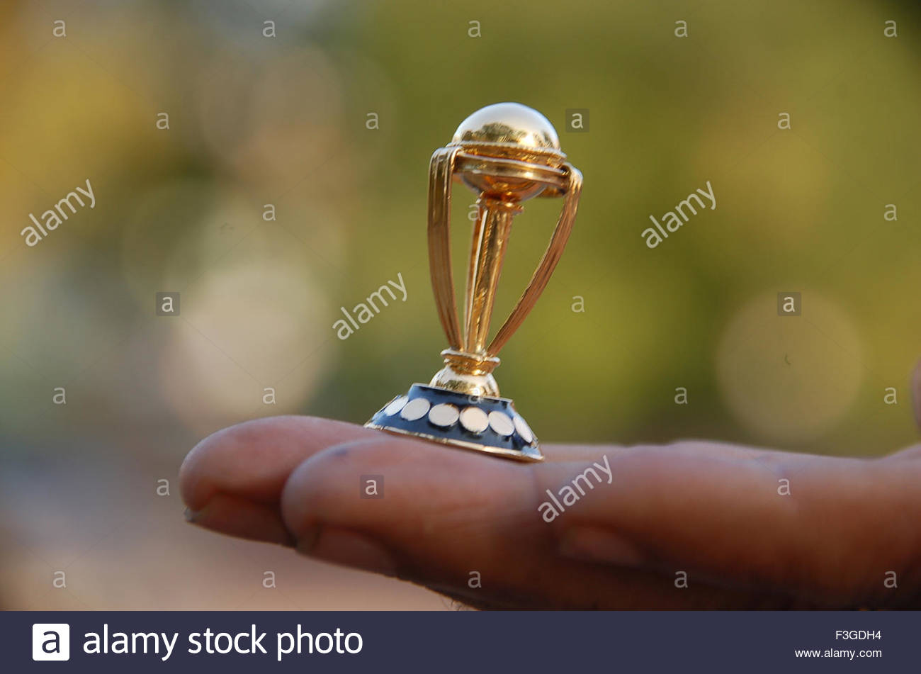 Cricket World Cup Trophy Stock Photos & Cricket World Cup ... - 1300 x 951 jpeg 73kB