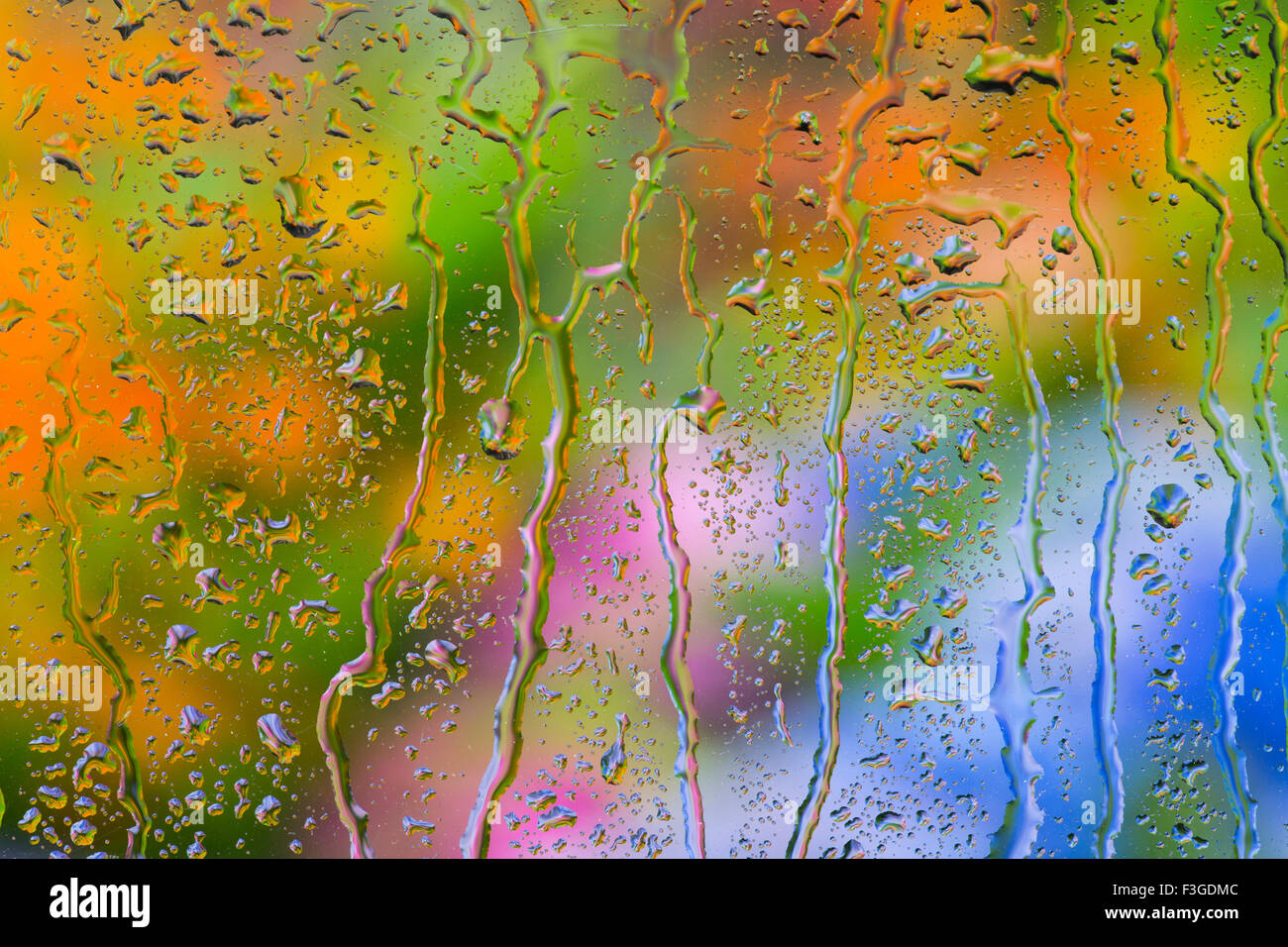 Rain drops on window glass overlooking garden border in summer Stock Photo