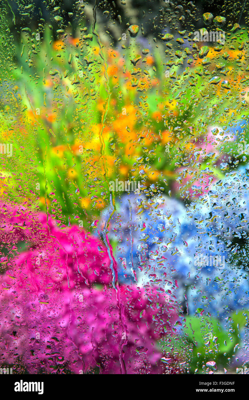 Rain drops on window glass overlooking garden border in summer Stock Photo