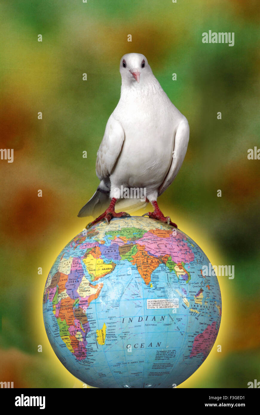 Dove vendono le globe deals