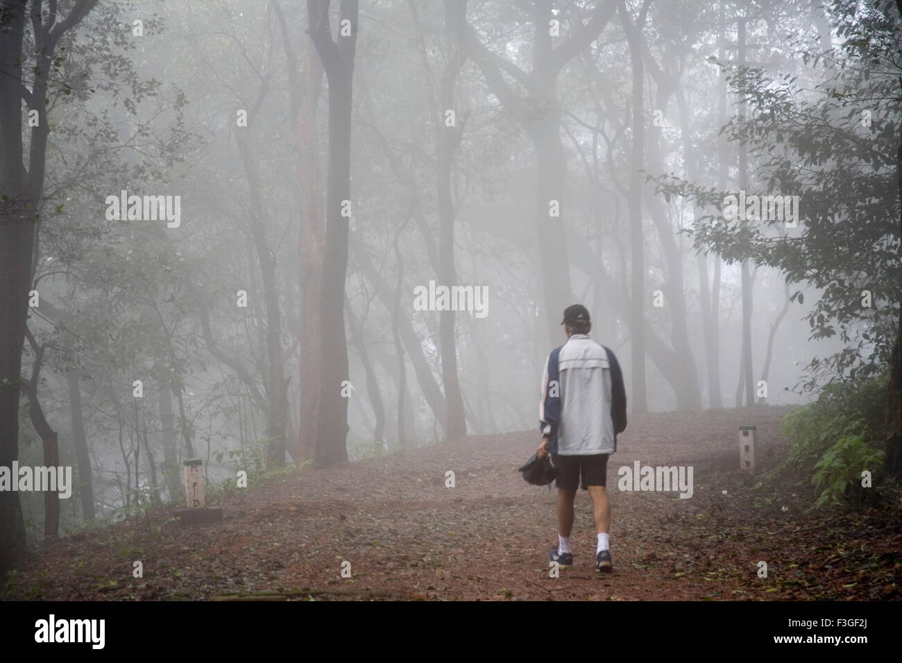 Man taking walk early morning on forest path ; Matheran ; Maharashtra ; India Stock Photo