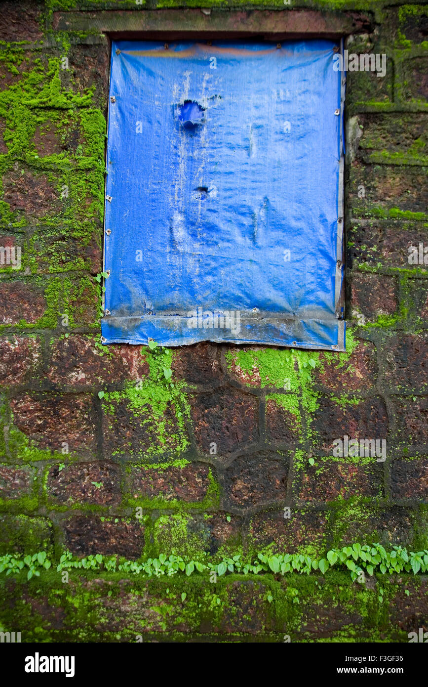 Monsoon ; moisture ; green moss on the wall of house with covered windows ; Matheran ; Maharashtra ; India Stock Photo