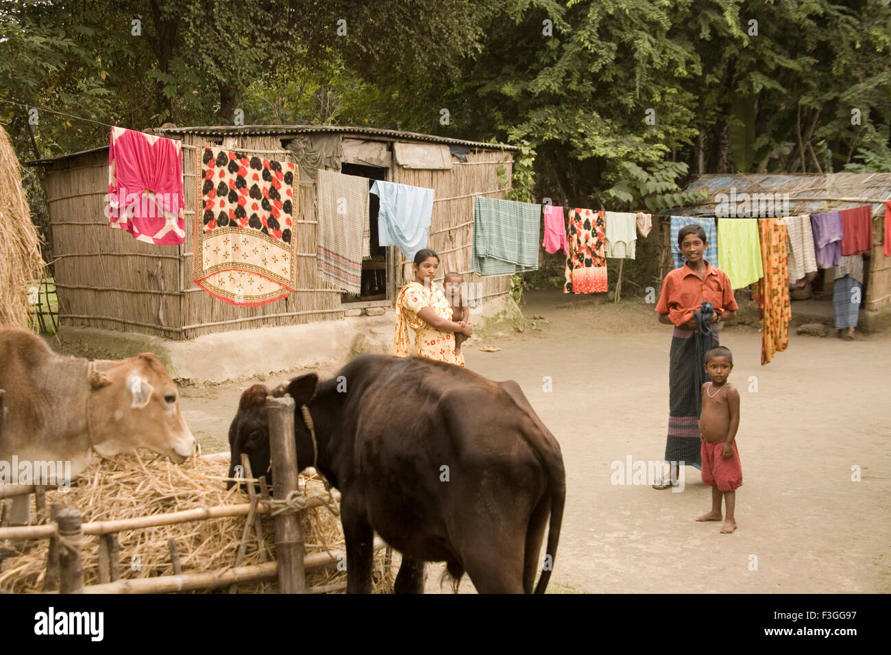Rural life ; village Manik gunj ; Rural Bangladesh Stock Photo