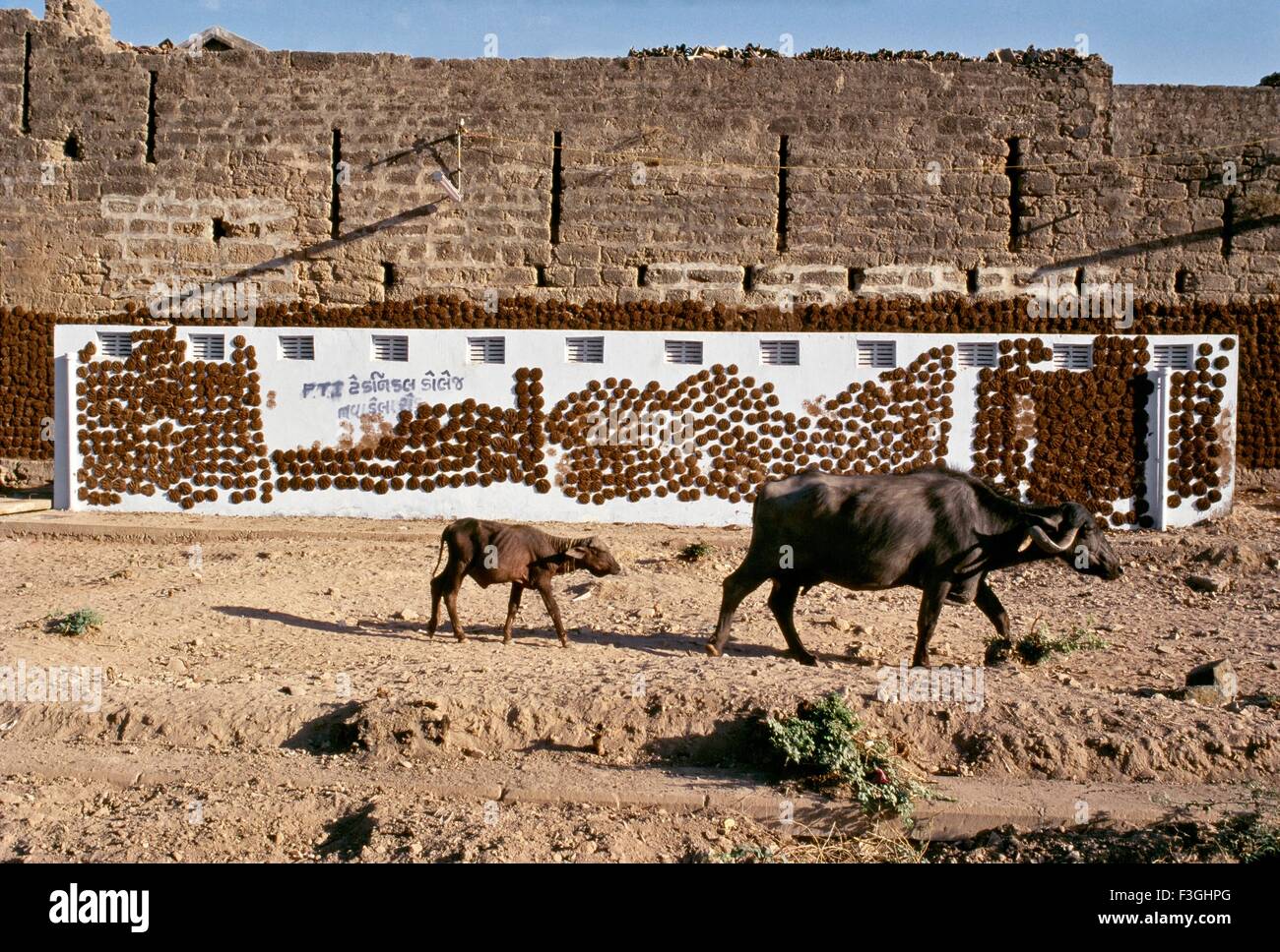 Cow dung drying on wall hires stock photography and images Alamy