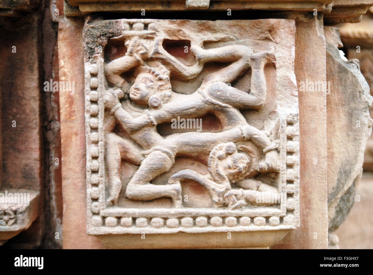 Raja Rani temple ; ruin statue with two heads and four bodies ; red gold sandstone ; Bhubaneswar ; Orissa ; India Stock Photo