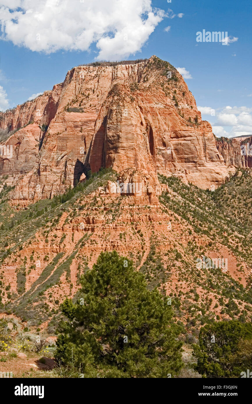 Red sandstone mountains of the Kolob canyon ; Zion canyon national park ; U.S.A. United States of America Stock Photo