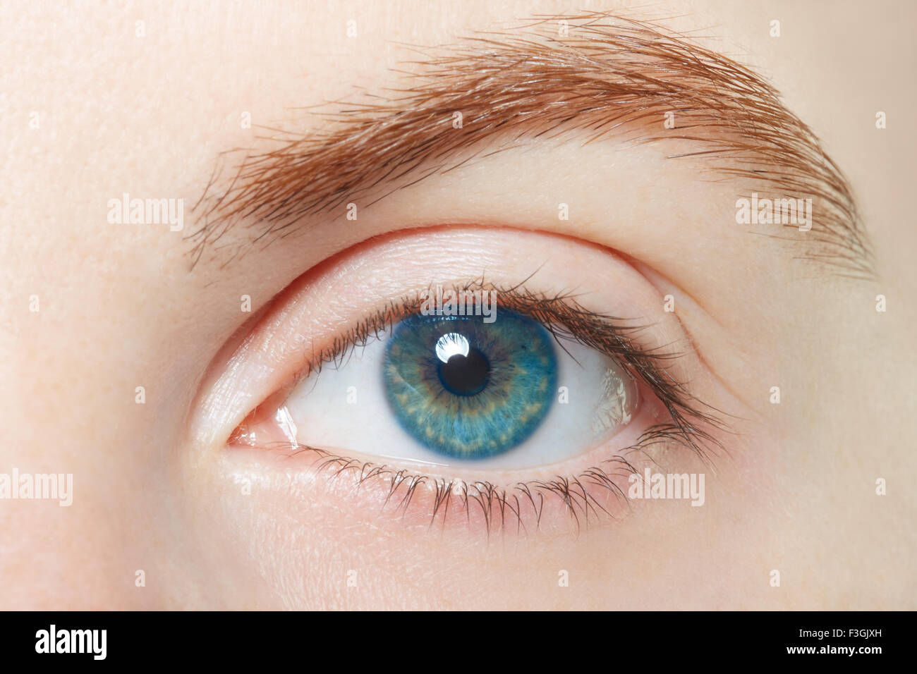 Human, blue healthy eye macro Stock Photo