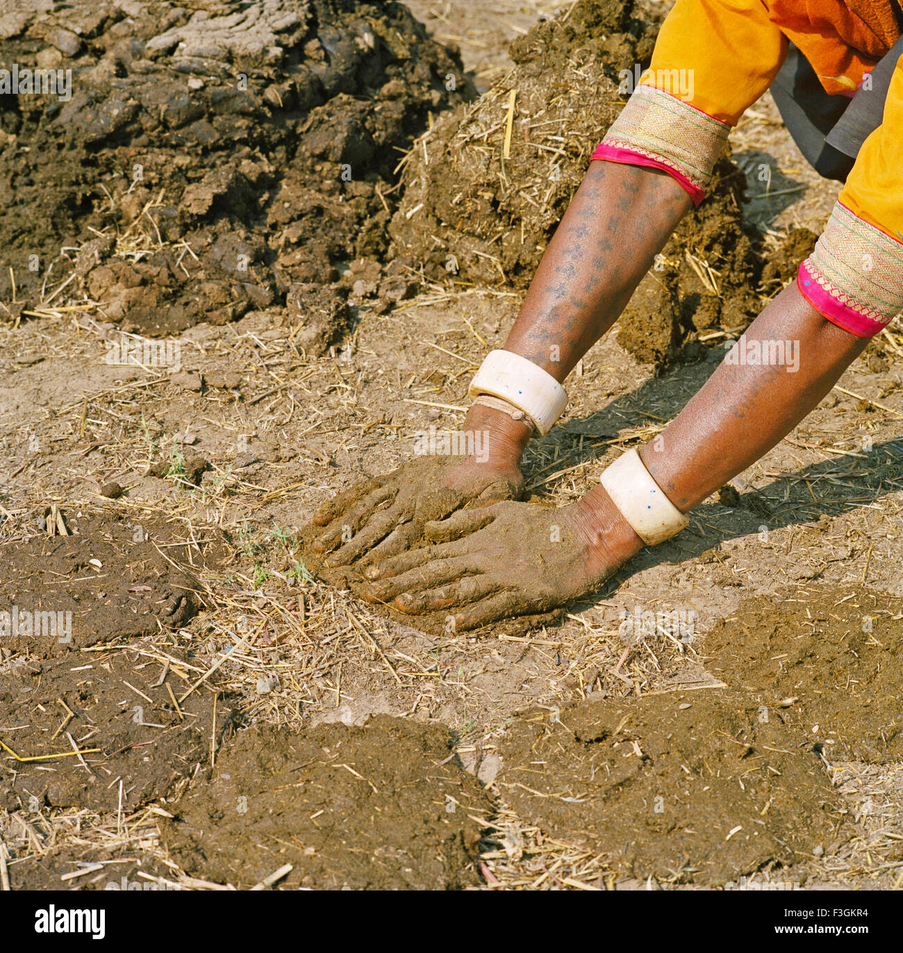 Cow dung cakes hi-res stock photography and images - Alamy