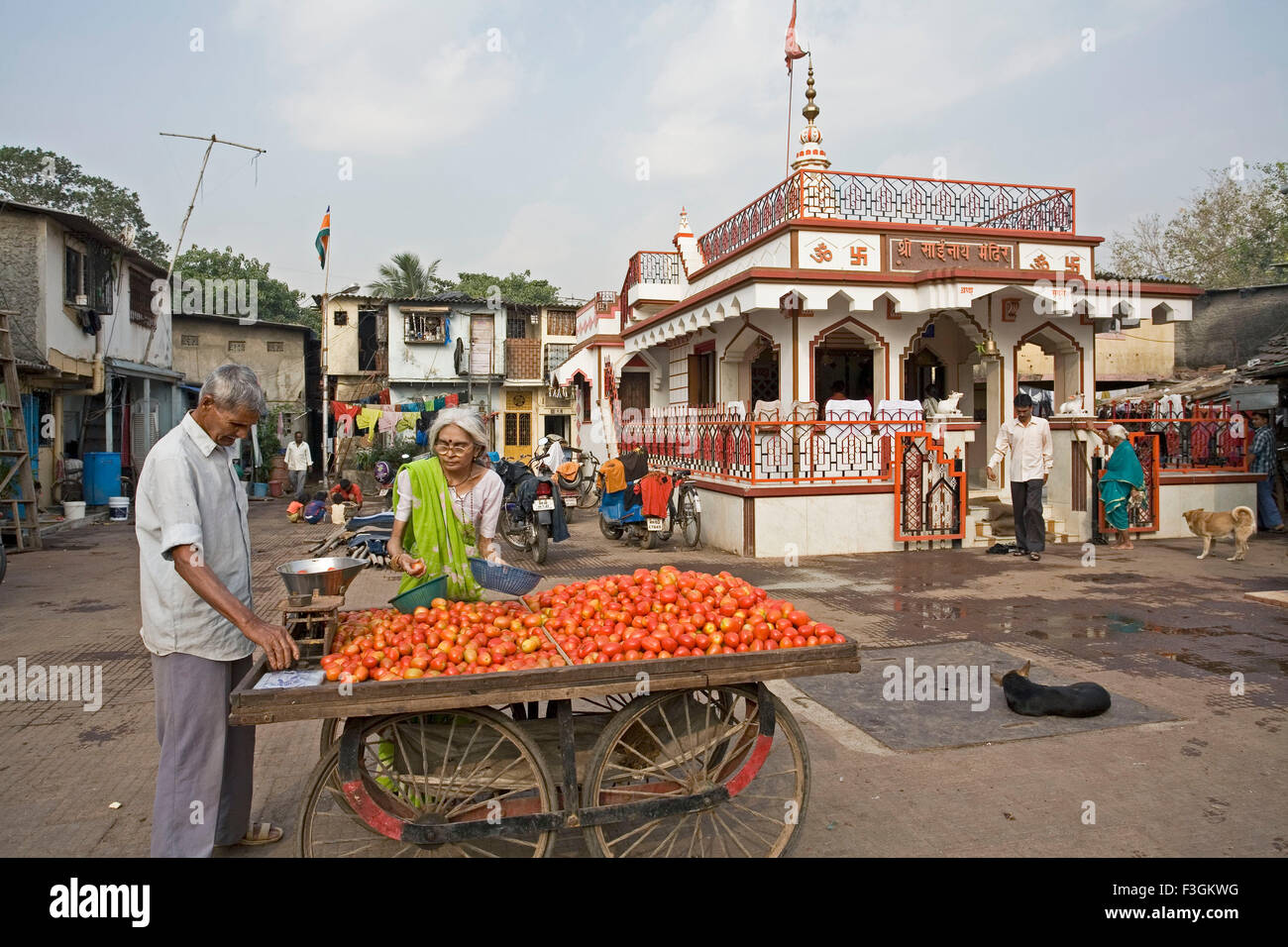 A woman buying tomatoes from a hand cart ; Santacruz ; Bombay now Mumbai ; Maharashtra ; India Stock Photo