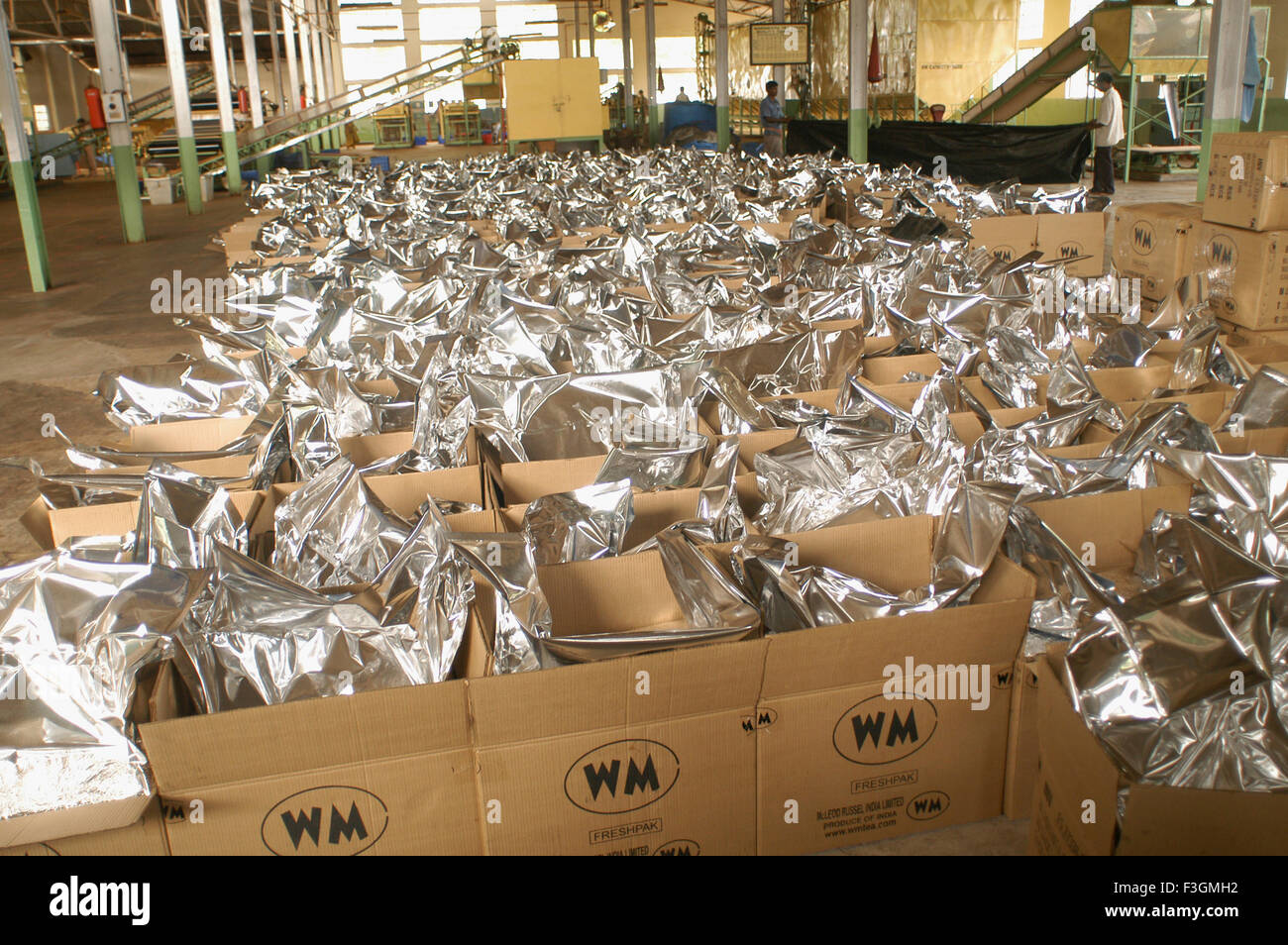 tea factory, tea packaging, Dispur, Guwahati, Assam, India, Asia Stock Photo