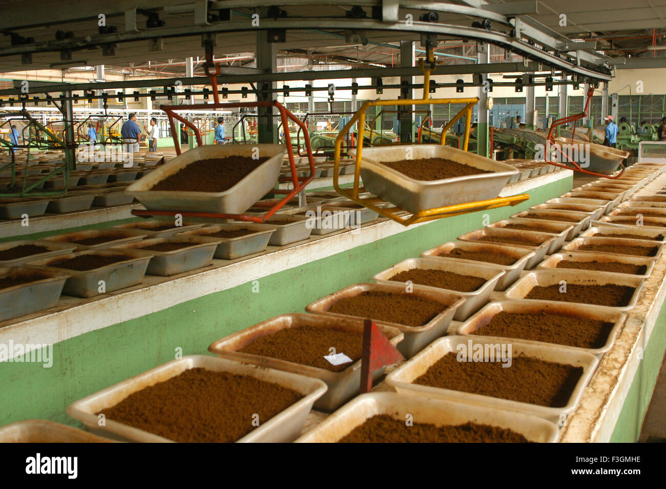 tea factory, tea production, Dispur, Guwahati, Assam, India, Asia Stock Photo