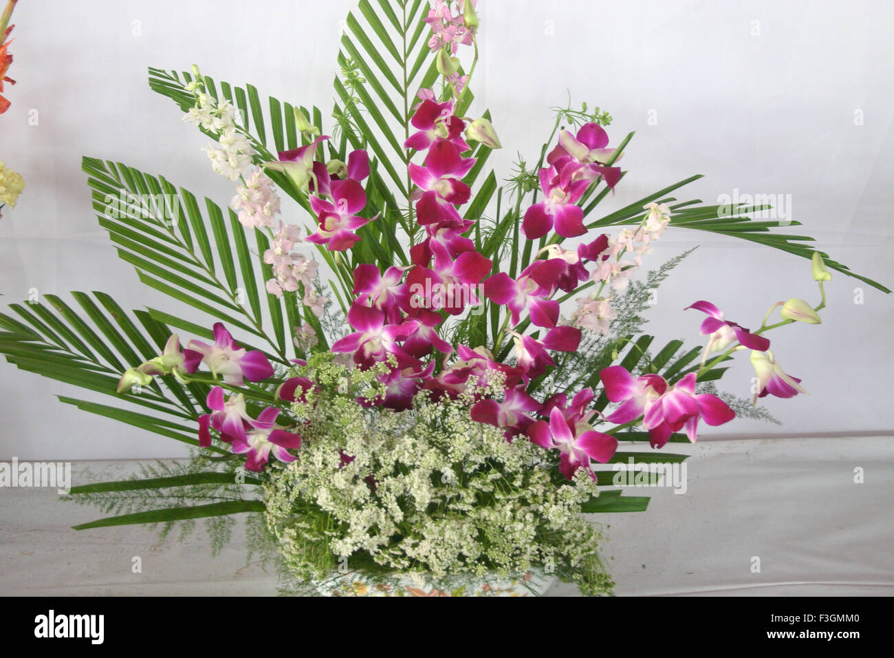 Dendrobium orchid flower arrangement basket, India, Asia Stock Photo
