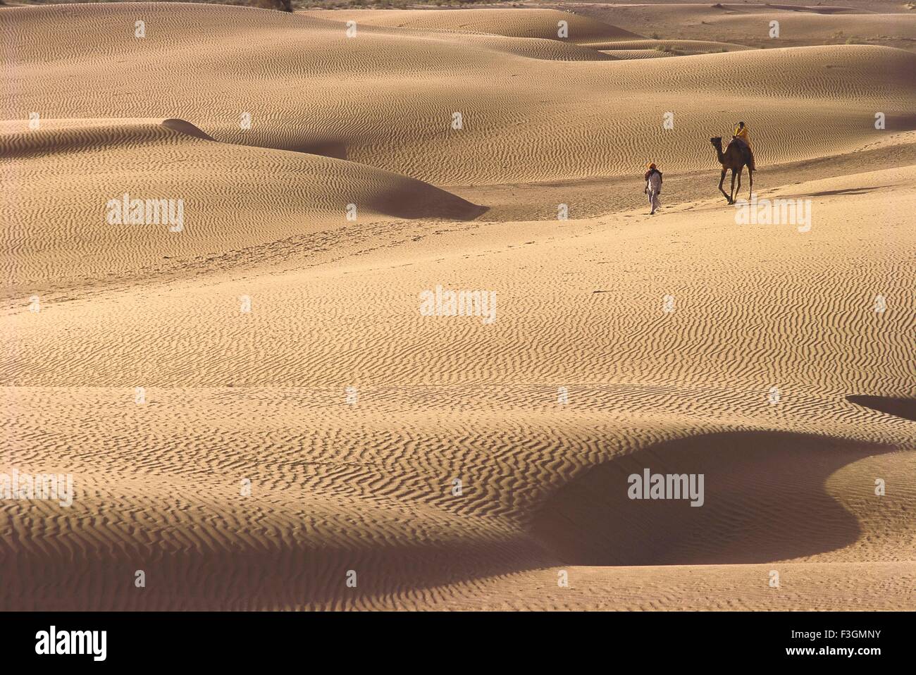 desert camel ride, Jodhpur, Rajasthan, India, Asia Stock Photo