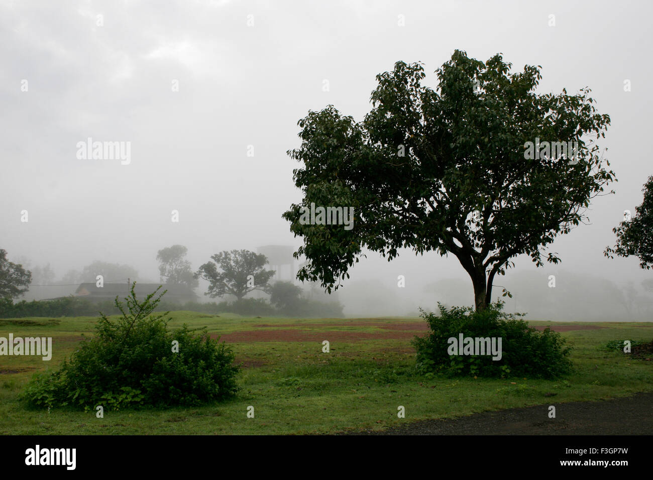 Foggy monsoon landscape ; Panhala ; Kolhapur ; Maharashtra ; India Stock Photo
