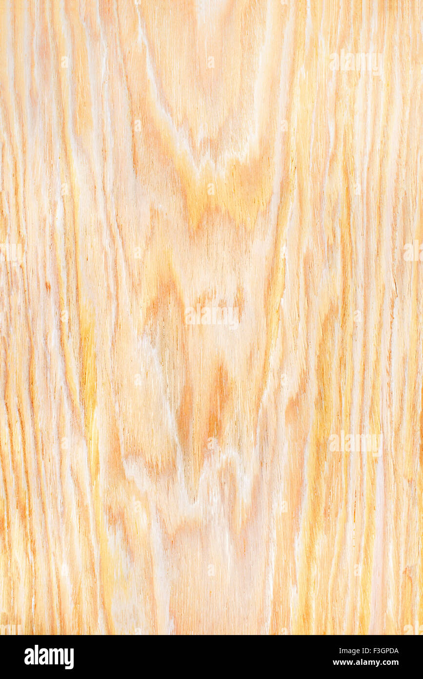 white oak background of wood veneer, natural rural tree background