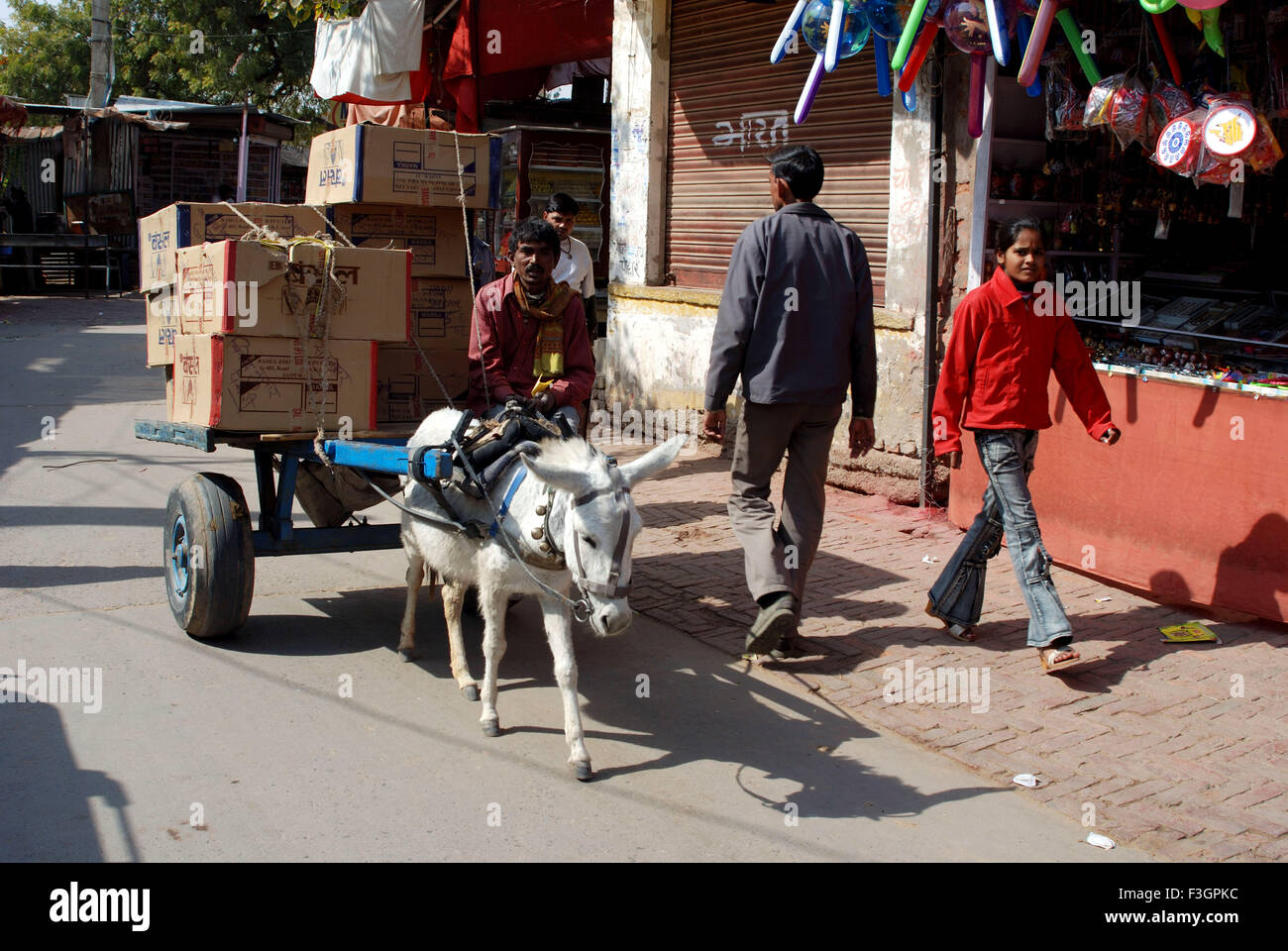 Rider riding donkey cart ; Salasar ; Rajasthan ; India Stock Photo