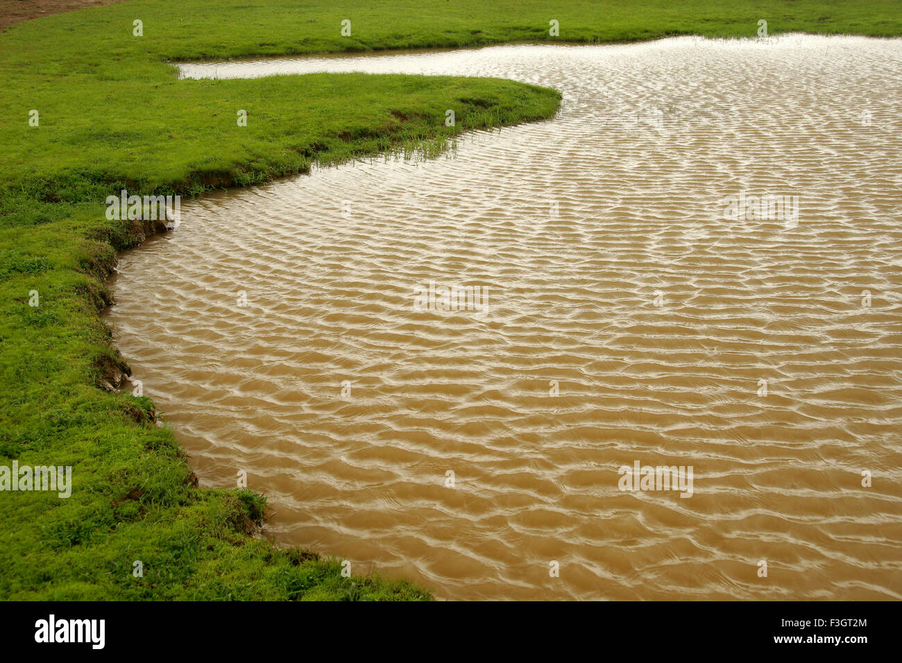 Abstract form natural pond thick ripples due wind fresh green grass around Table Land Panchgani Maharashtra Stock Photo