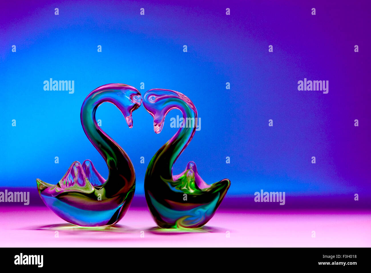 Concept couple double husband wife lover pair twice twin two gift item showpiece swan from glass modern fine art photography Stock Photo