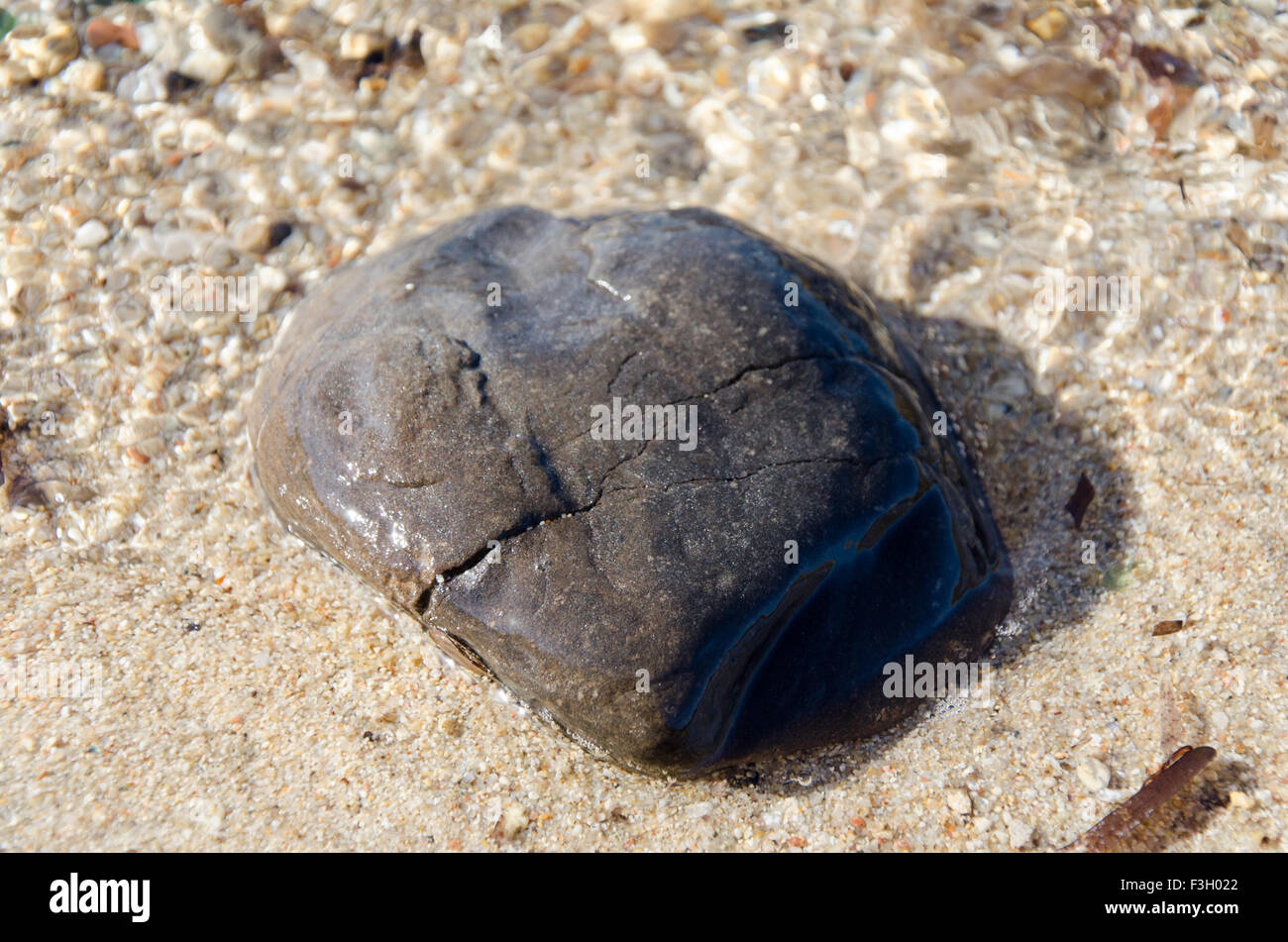 Big stone on the beach into clear water Stock Photo