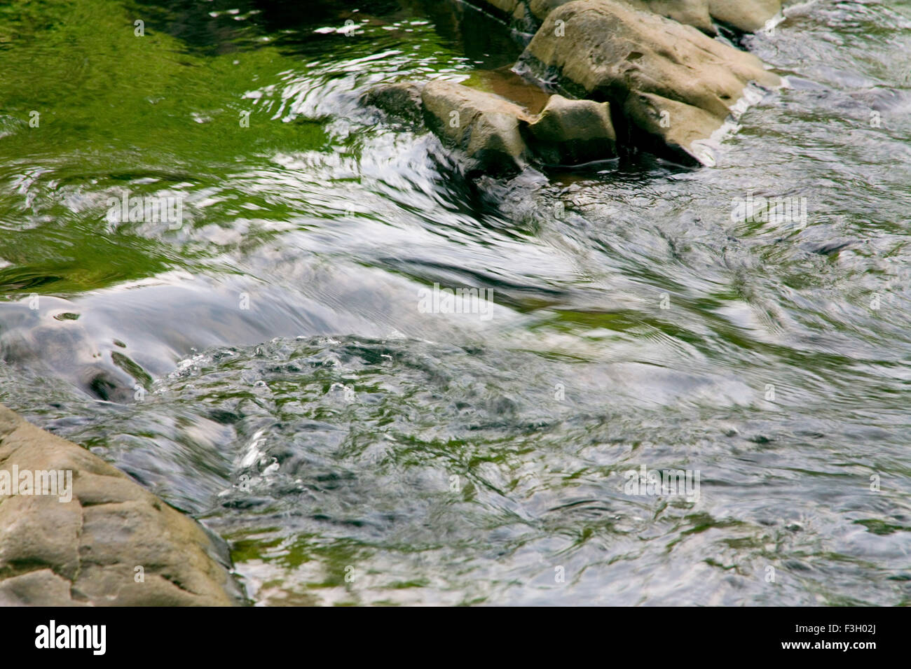 Creative curve and form flow of river water ; Sanjay Gandhi National